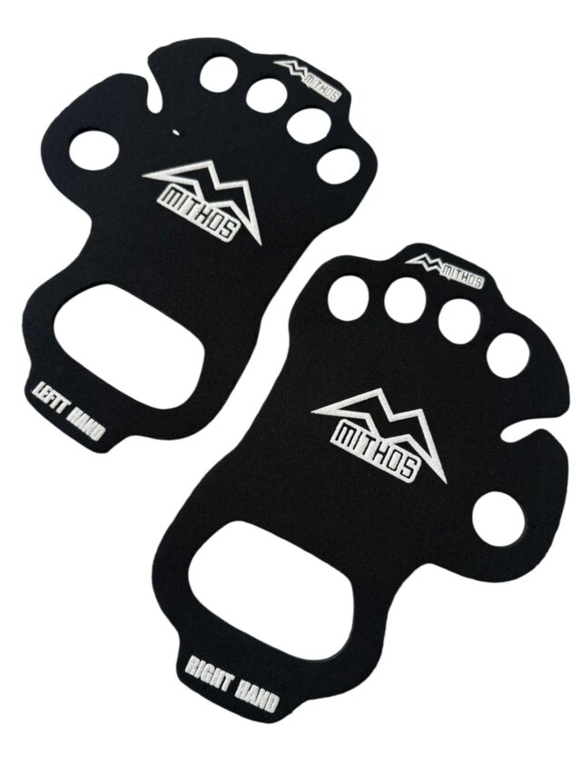 Palm_Protect1